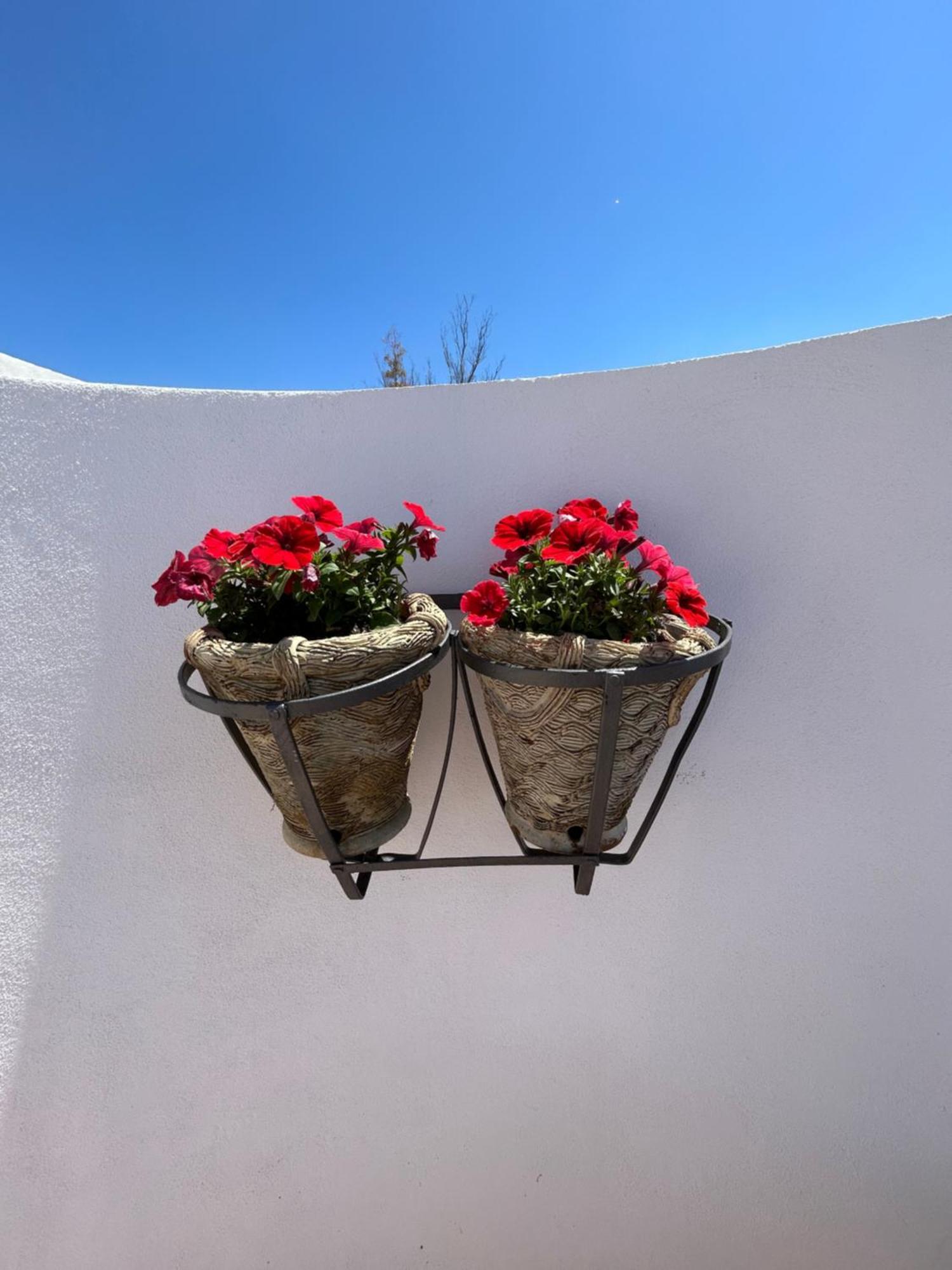 La Casa Di Pippo Flora Bed & Breakfast Агридженто Екстериор снимка